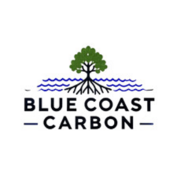 BLUE COST CARBON