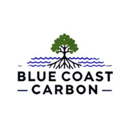 BLUE COST CARBON